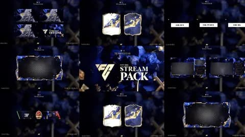 FC25 STREAM PACK PREMIUM TOTY EDITION