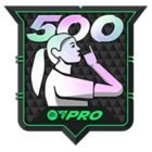 FC Pro 500 Club