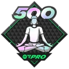 FC Pro 500 Club