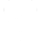 Team Vitality