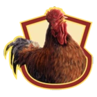 Rooster