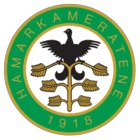 HamKam Fotball
