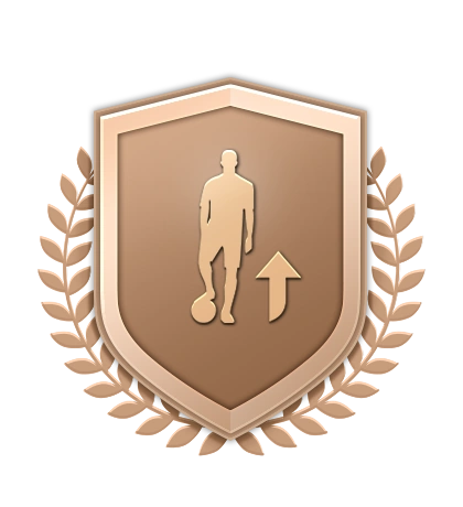 Bronze Upgrade