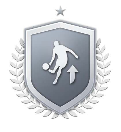Silver Upgrade