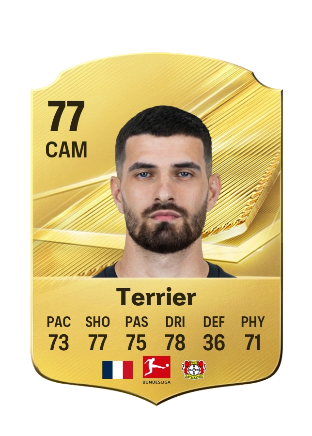 Carta Common di Martin Terrier, valutazione 77