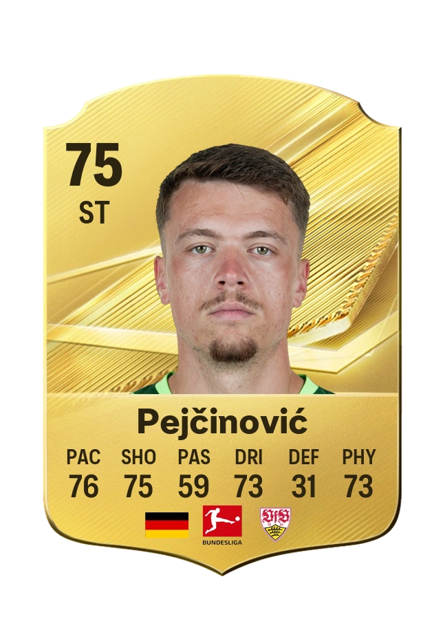 Dženan Pejčinović, Common card, rated 75