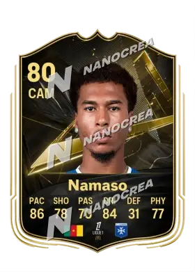 Carta Team of the Week de Danny Namaso, valoración 80